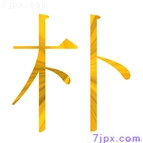 朴
